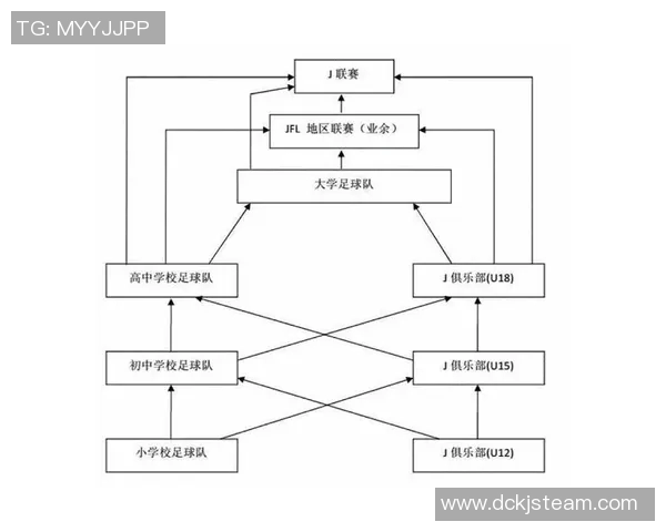 中国足球俱乐部实力排名分析及未来发展趋势探讨