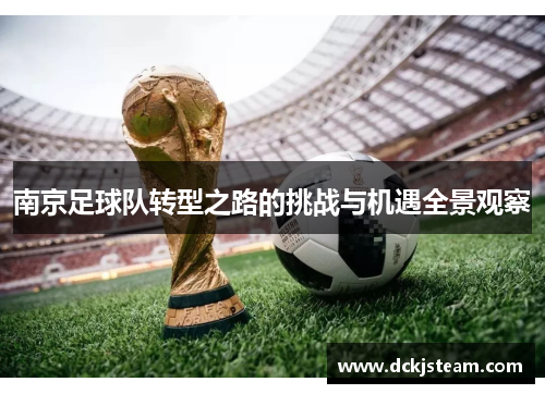 南京足球队转型之路的挑战与机遇全景观察