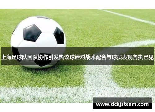 上海足球队团队协作引发热议球迷对战术配合与球员表现各执己见